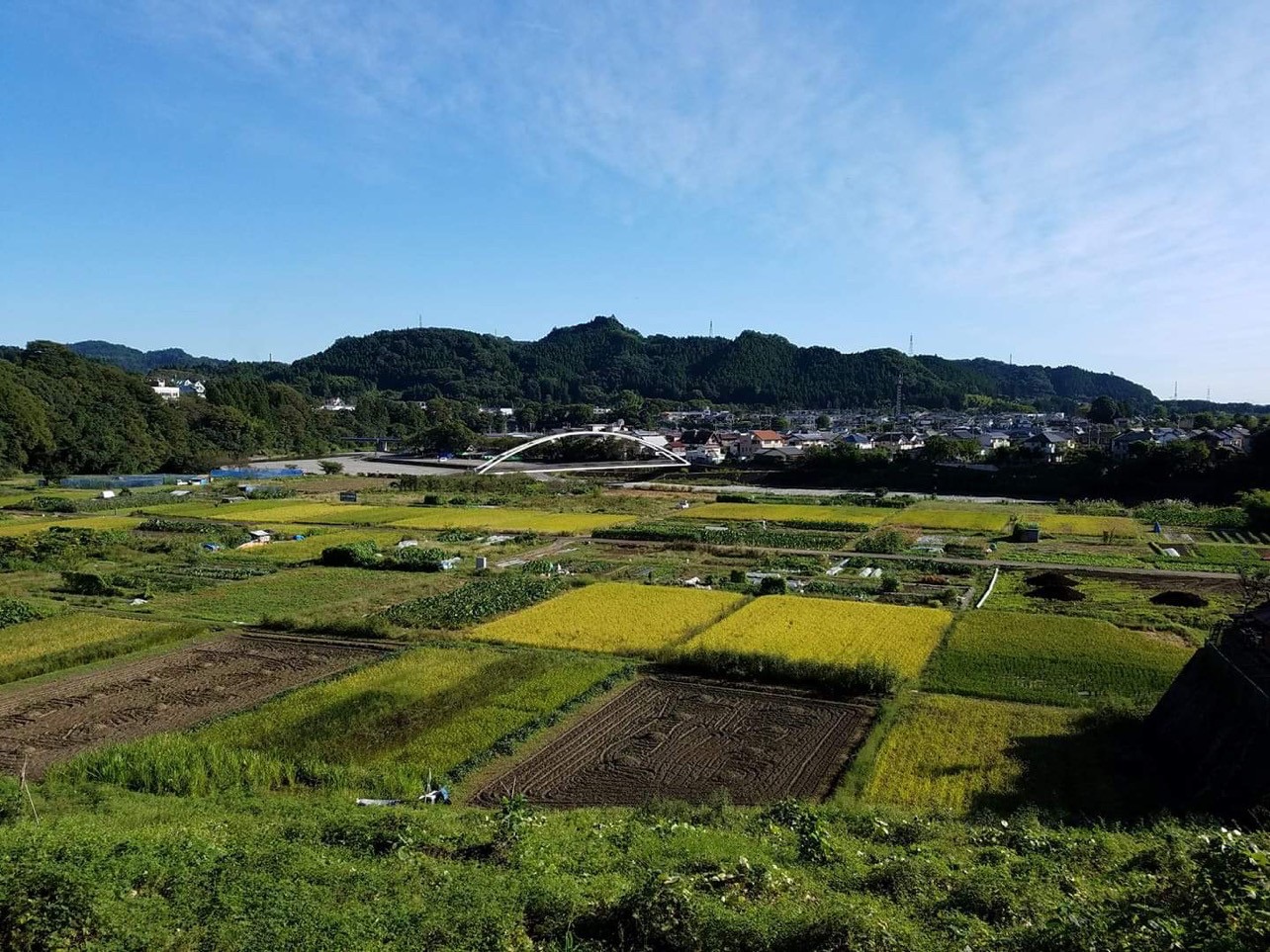 あきる野市の田園風景